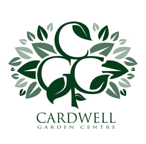 Cardwell Garden Centre Gift Vouchers